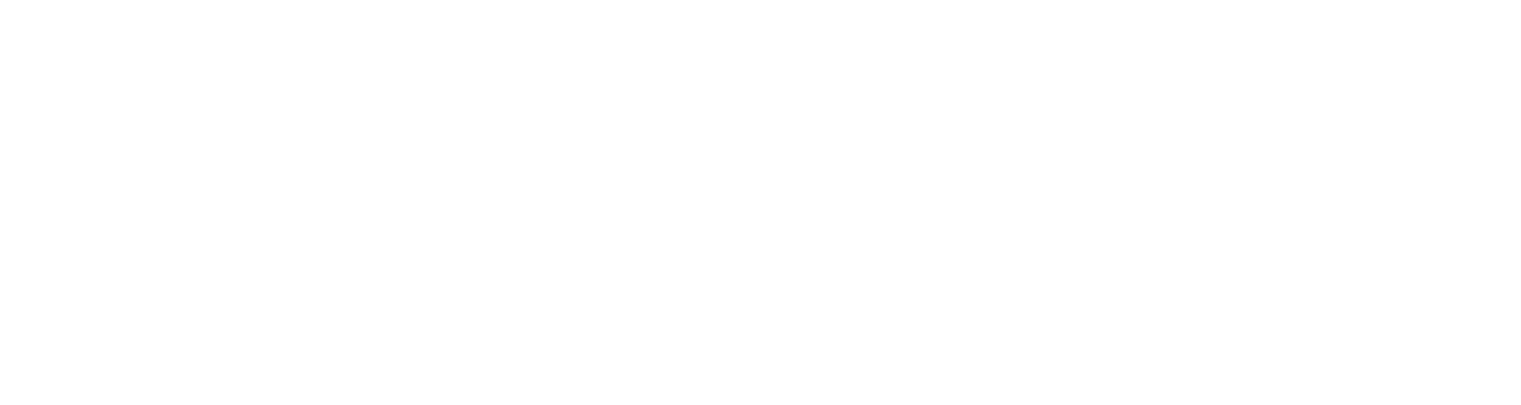 Kapfinger Gruppe